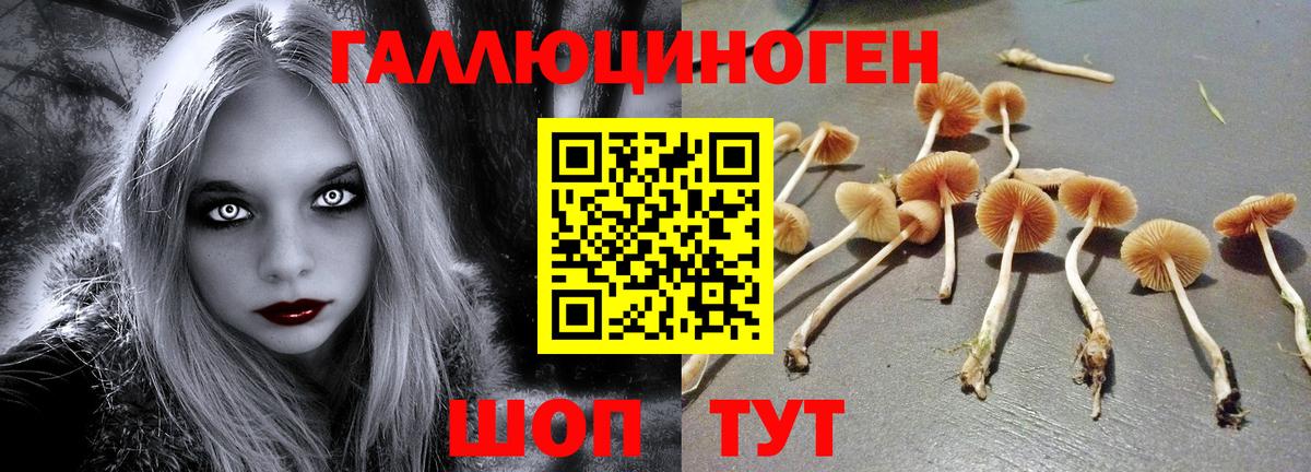 Осинники  Галлюциногенные грибы ЛСД  как найти наркотики  Вход с VPN 